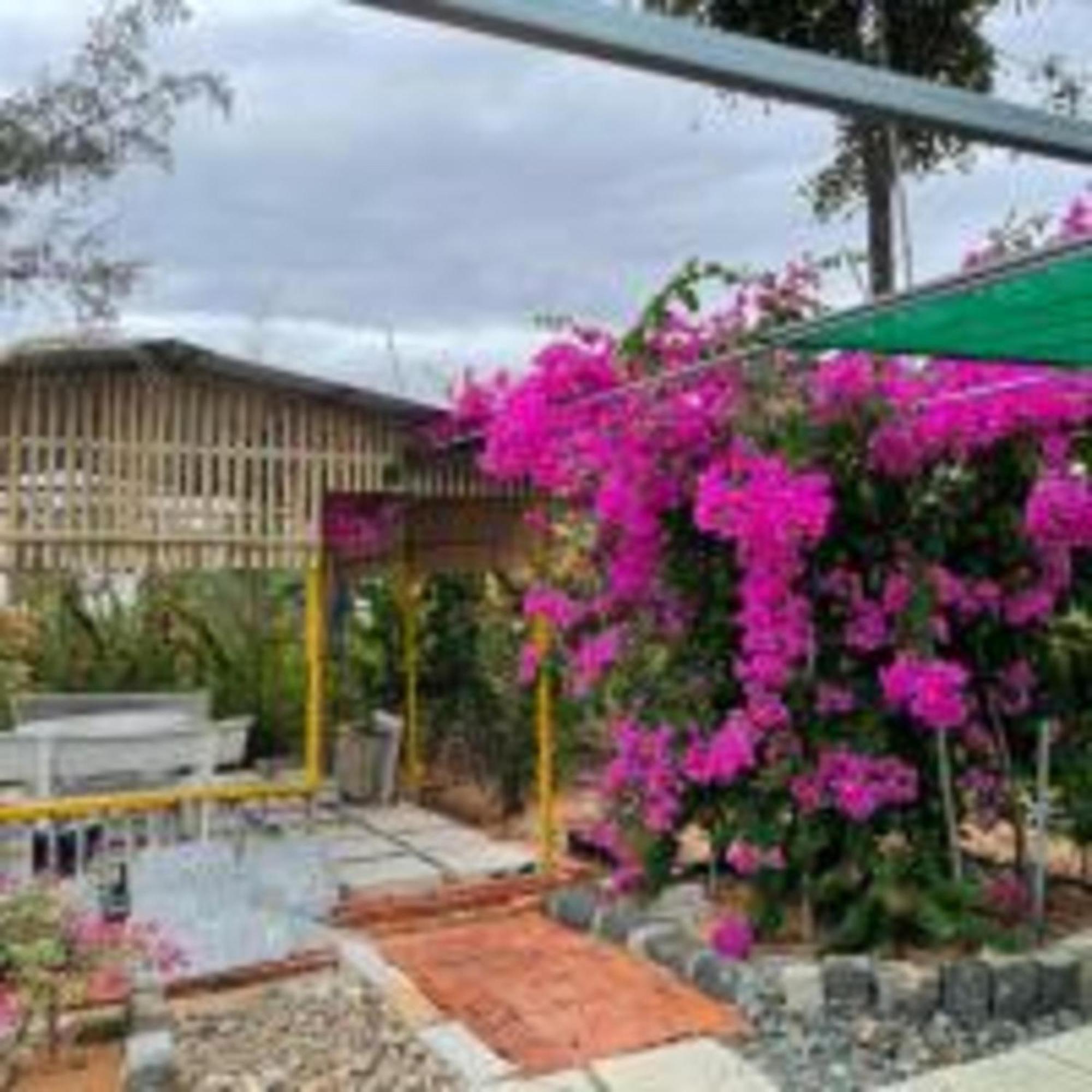Duc Luu Quang Hotel Binh Thuan Tuy Phong Екстер'єр фото