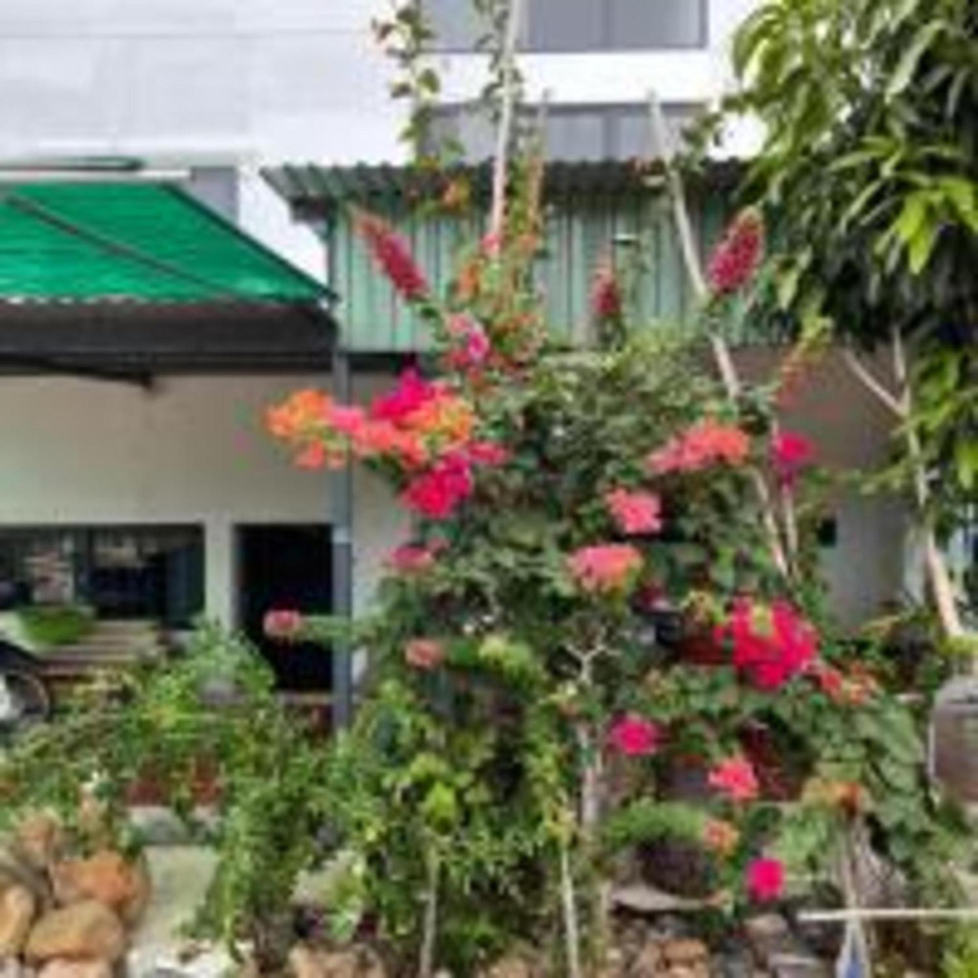 Duc Luu Quang Hotel Binh Thuan Tuy Phong Екстер'єр фото