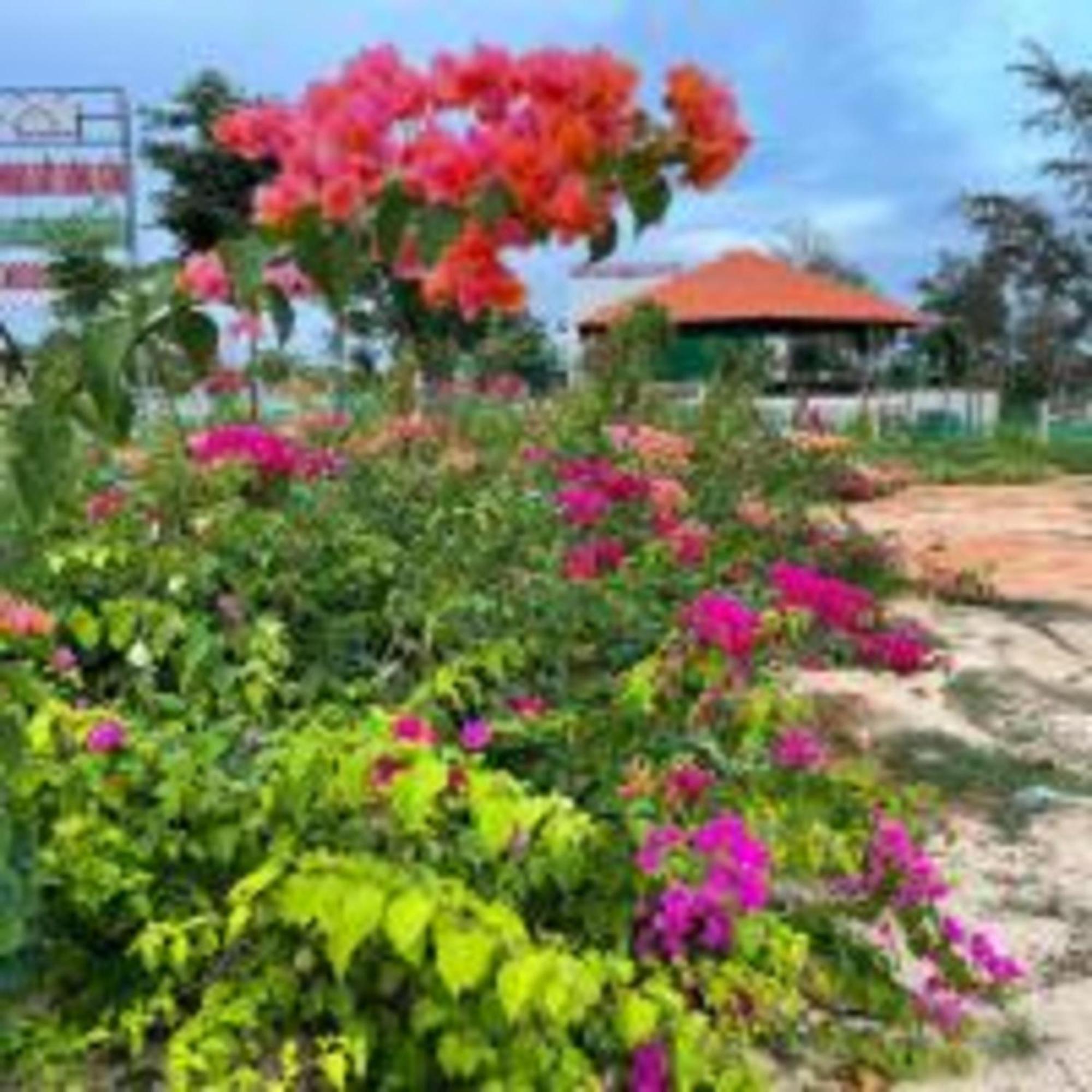 Duc Luu Quang Hotel Binh Thuan Tuy Phong Екстер'єр фото
