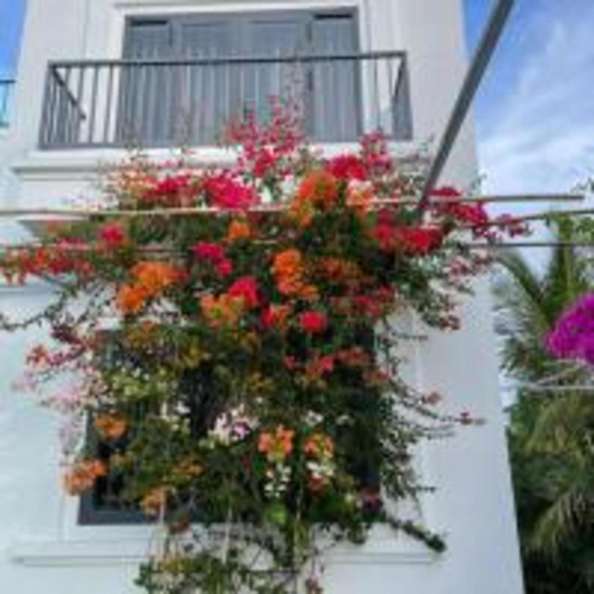 Duc Luu Quang Hotel Binh Thuan Tuy Phong Екстер'єр фото